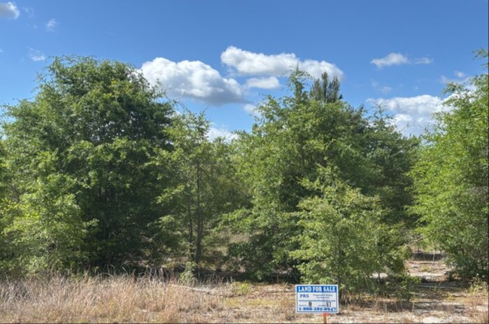 Cumberland Co NC - 10.4 Acres - Lot M 